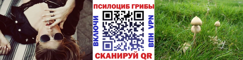 Псилоцибиновые грибы мухоморы  магазин продажи наркотиков  Покачи 